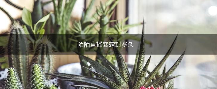陌陌直播暴露封多久,第1张