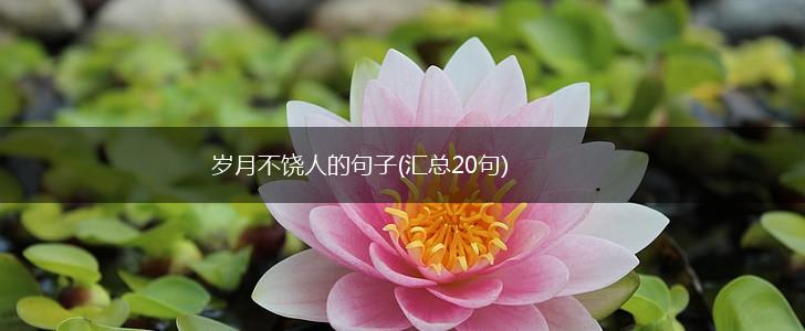 岁月不饶人的句子(汇总20句),第1张