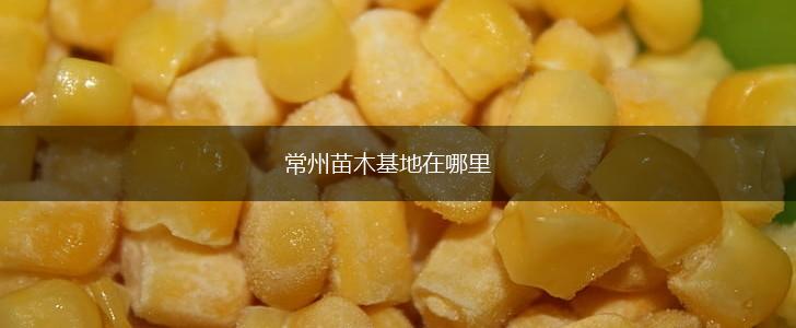 常州苗木基地在哪里,第1张