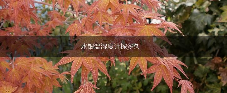 水银温湿度计探多久,第1张