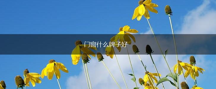 门窗什么牌子好,第1张