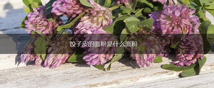 饺子皮的面粉是什么面粉,第1张