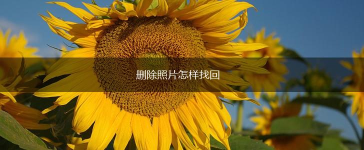 删除照片怎样找回,第1张