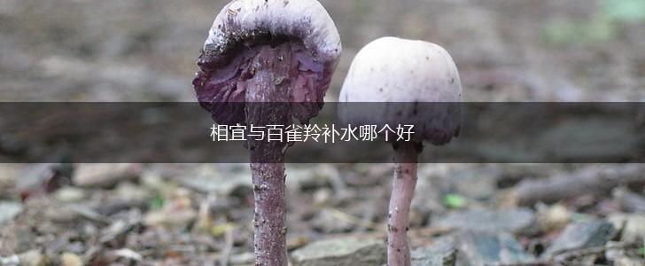 相宜与百雀羚补水哪个好,第1张