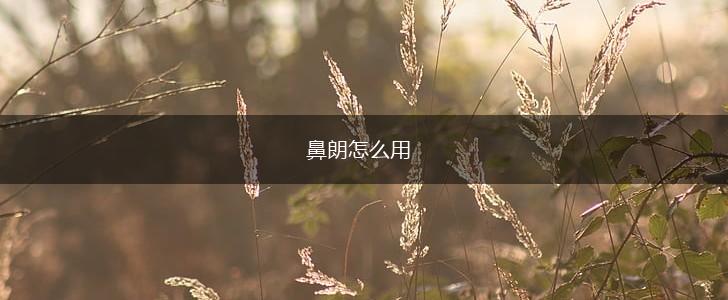 鼻朗怎么用,第1张