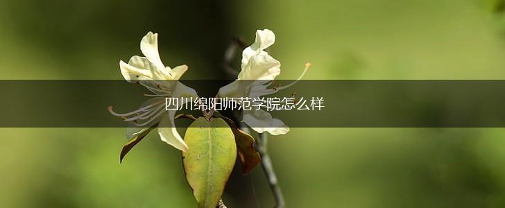 四川绵阳师范学院怎么样,第1张