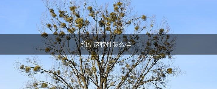 约聊这软件怎么样,第1张