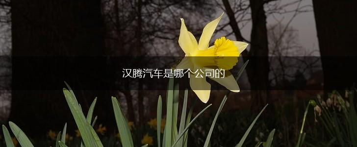 汉腾汽车是哪个公司的,第1张