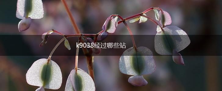 k9038经过哪些站,第1张