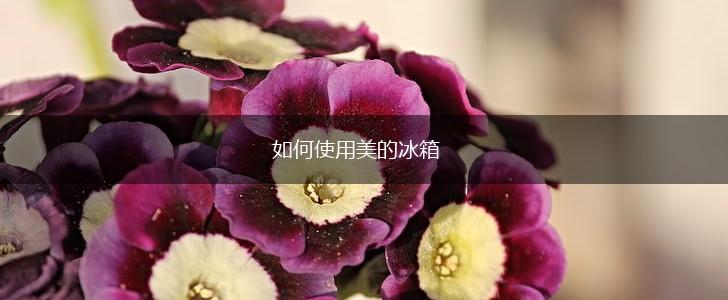 如何使用美的冰箱,第1张