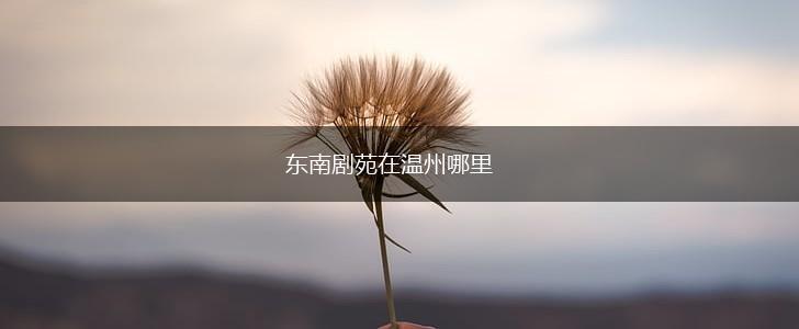 东南剧苑在温州哪里,第1张