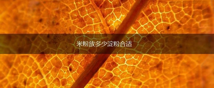 米粉放多少淀粉合适,第1张