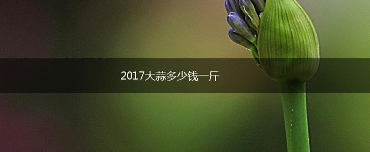 2017大蒜多少钱一斤,第1张