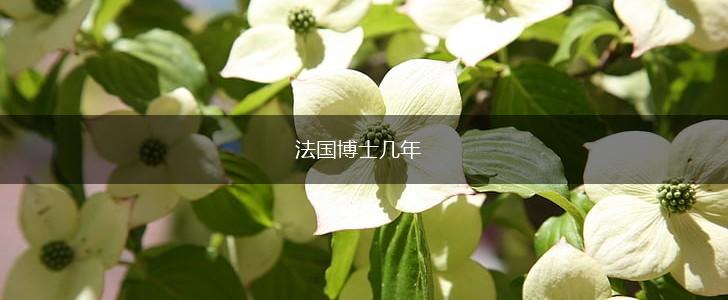法国博士几年,第1张
