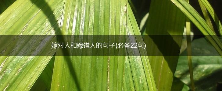 嫁对人和嫁错人的句子(必备22句),第1张