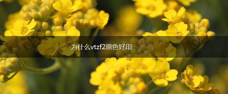 为什么vtzf2原色好用,第1张