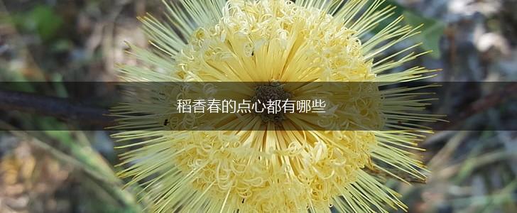 稻香春的点心都有哪些,第1张