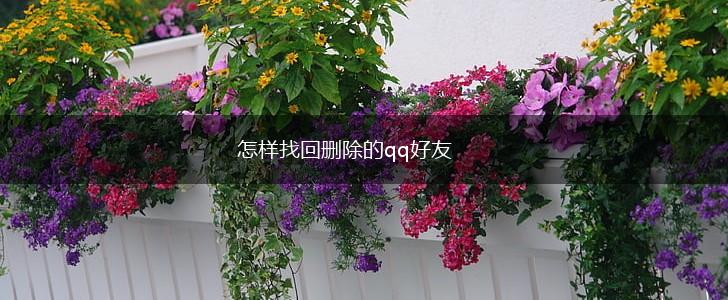 怎样找回删除的qq好友,第1张
