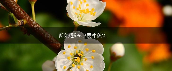 新荣耀9充电要冲多久,第1张