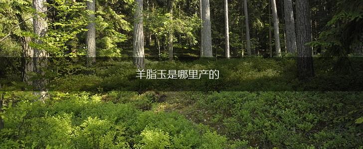 羊脂玉是哪里产的,第1张