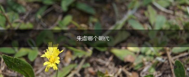 朱虚哪个朝代,第1张