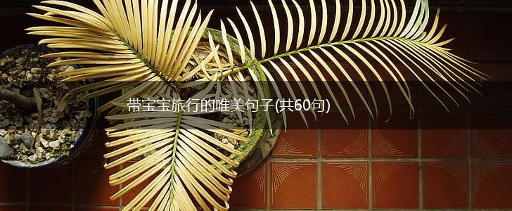 带宝宝旅行的唯美句子(共60句),第1张