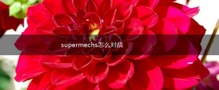 supermechs怎么对战,第1张
