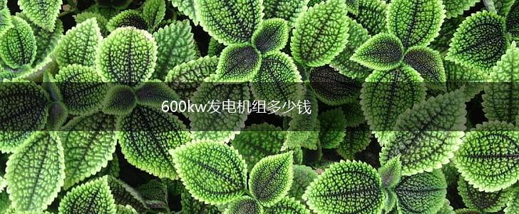 600kw发电机组多少钱,第1张
