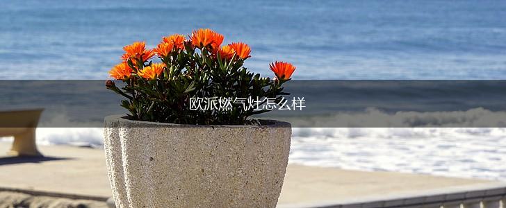 欧派燃气灶怎么样,第1张