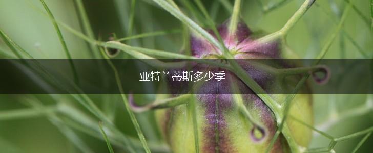 亚特兰蒂斯多少季,第1张