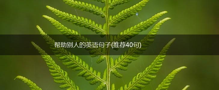 帮助别人的英语句子(推荐40句),第1张