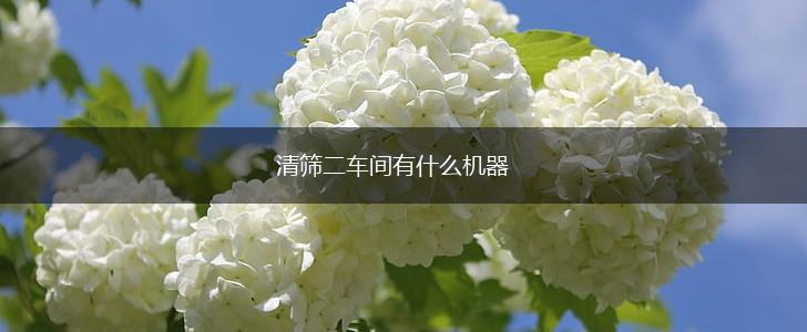 清筛二车间有什么机器,第1张
