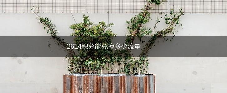 2614积分能兑换多少流量,第1张