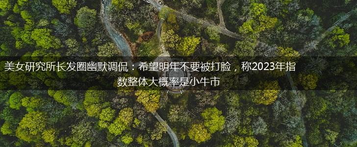 美女研究所长发圈幽默调侃：希望明年不要被打脸，称2023年指数整体大概率是小牛市,第1张
