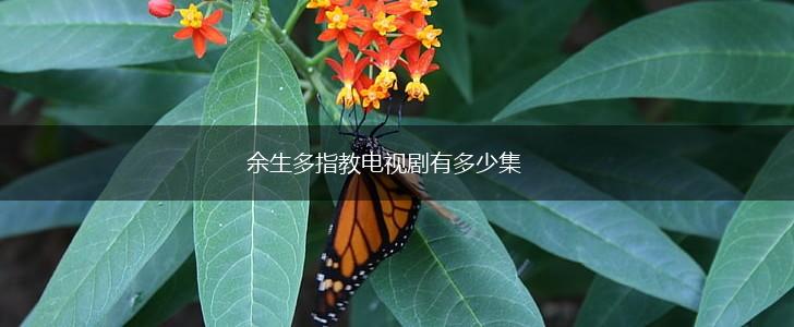 余生多指教电视剧有多少集,第1张