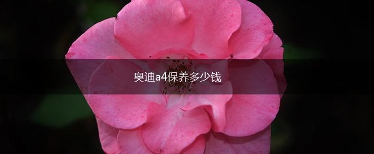 奥迪a4保养多少钱,第1张