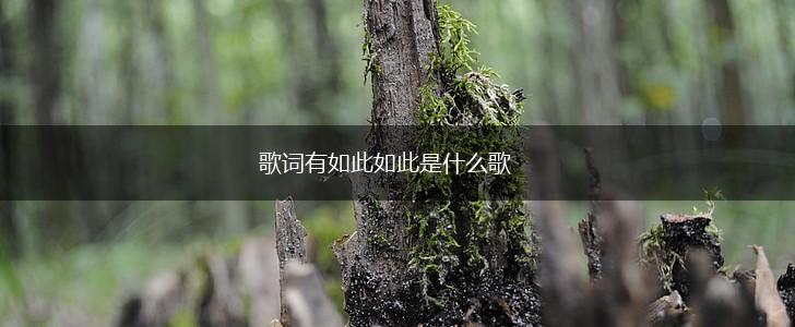 歌词有如此如此是什么歌,第1张