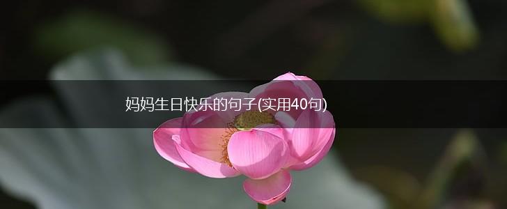妈妈生日快乐的句子(实用40句),第1张