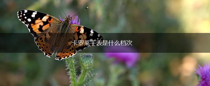 卡罗莱手表是什么档次,第1张
