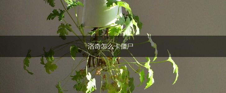 洛奇怎么卡僵尸,第1张