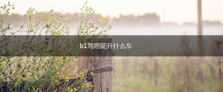 b1驾照能开什么车,第1张