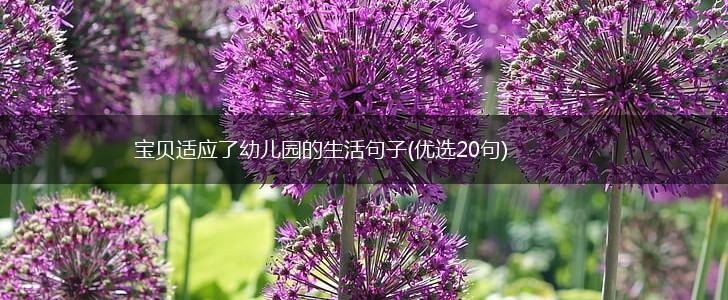 宝贝适应了幼儿园的生活句子(优选20句),第1张