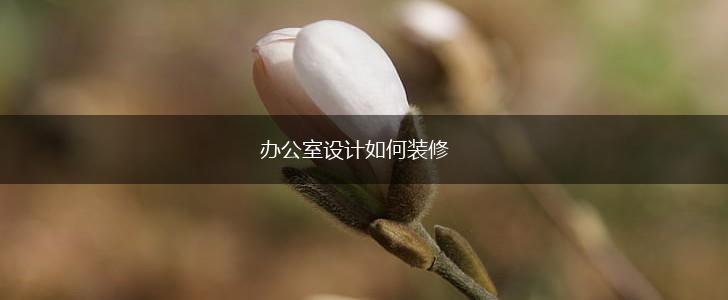 办公室设计如何装修,第1张