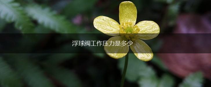 浮球阀工作压力是多少,第1张