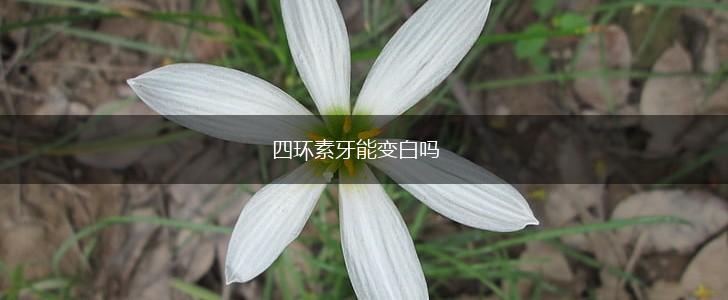 四环素牙能变白吗,第1张