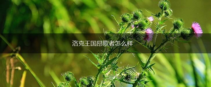 洛克王国昂歌者怎么样,第1张