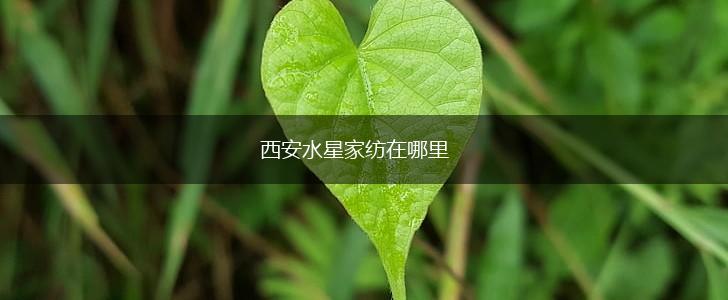 西安水星家纺在哪里,第1张