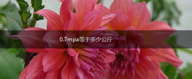 0.7mpa等于多少公斤,第1张