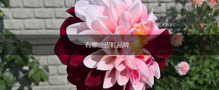 有哪些皮鞋品牌,第1张