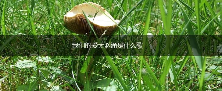 我们的爱太汹涌是什么歌,第1张